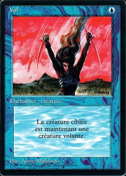 Vol - Flight