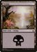 Swamp