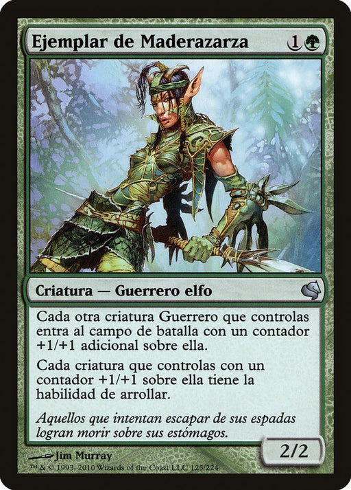 Ejemplar de Maderazarza - Bramblewood Paragon
