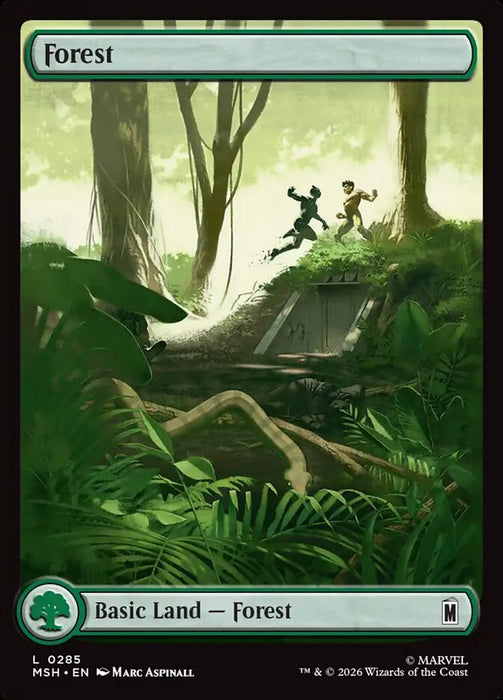 Forest - Full Art
