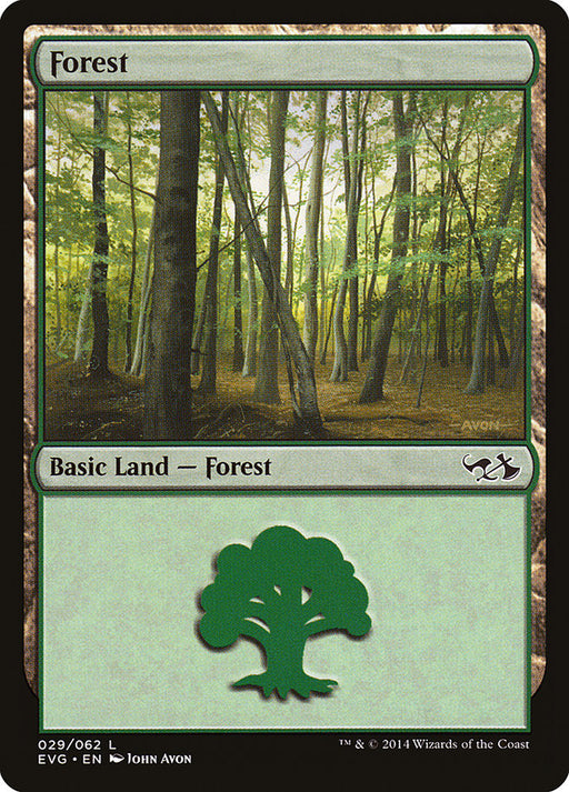Forest