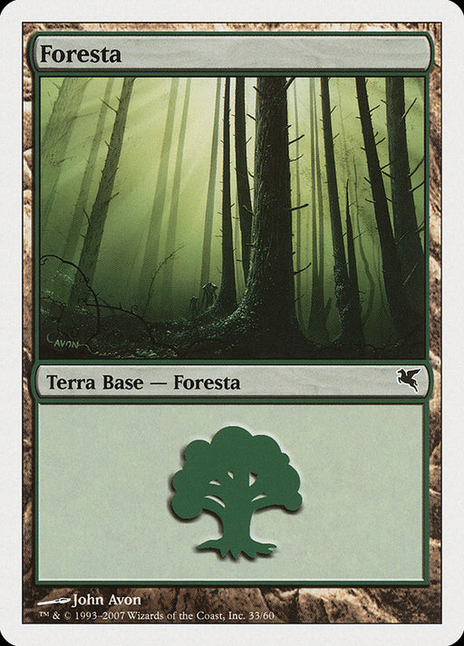 Foresta - Forest