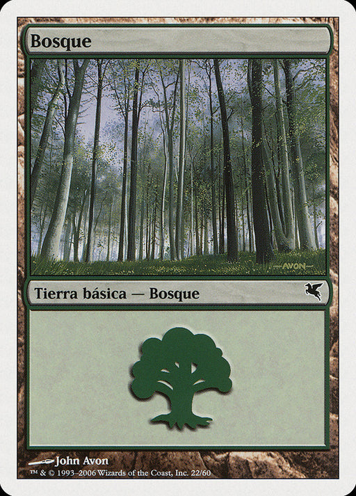 Bosque - Forest