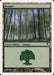 Bosque - Forest