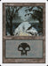 Swamp