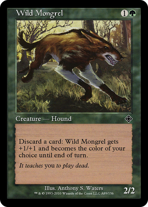 Wild Mongrel - Retro Frame