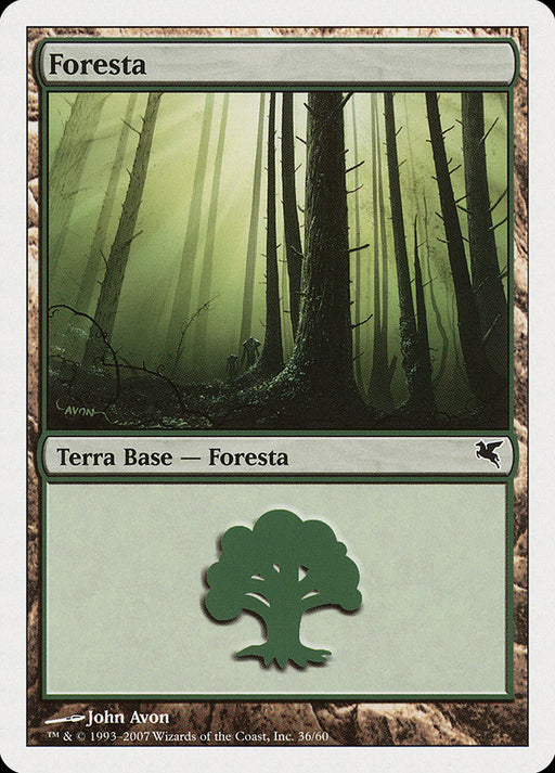 Foresta - Forest