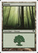 Foresta - Forest