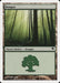 Bosque - Forest