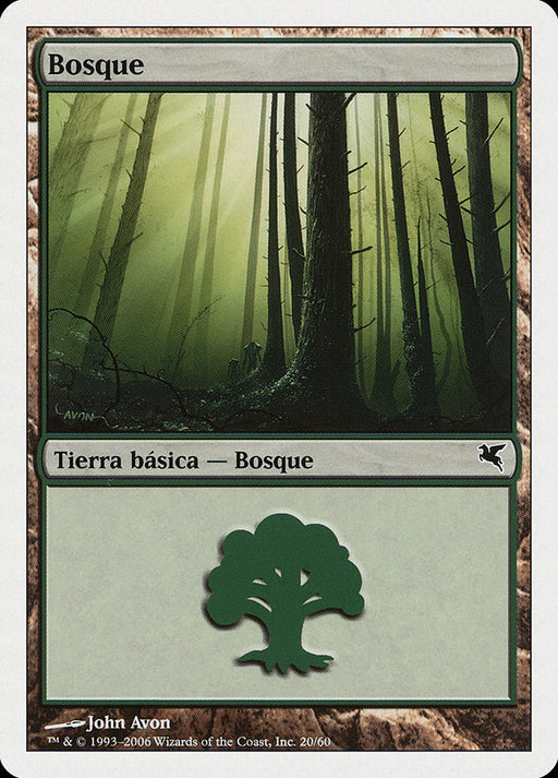 Bosque - Forest
