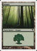 Bosque - Forest