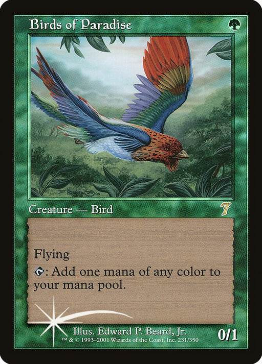 Birds of Paradise (Foil)