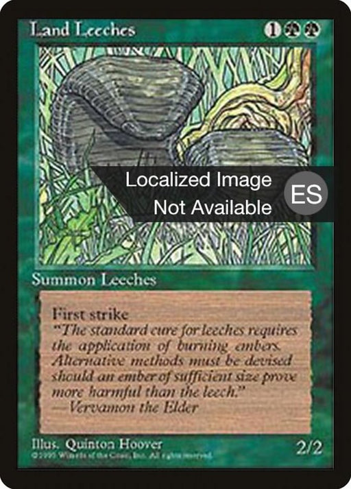 Sanguijuelas de tierra - Land Leeches