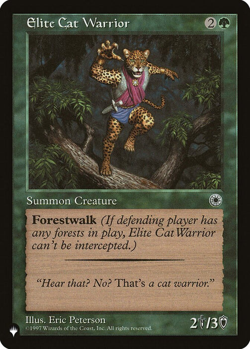 Elite Cat Warrior - Retro Frame
