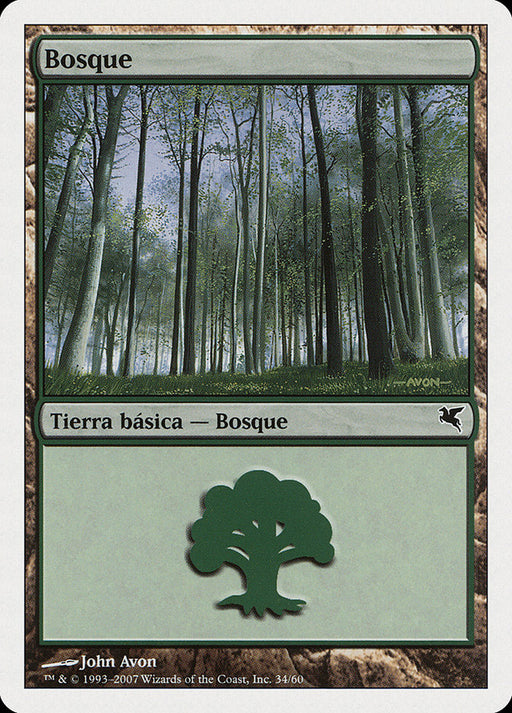 Bosque - Forest