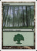 Bosque - Forest
