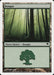 Bosque - Forest