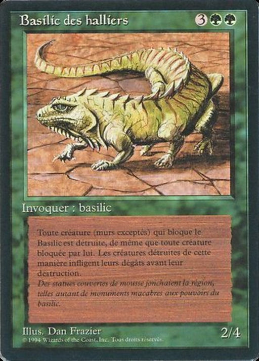 Basilic des halliers - Thicket Basilisk