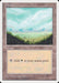 Plains