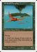 Birds of Paradise