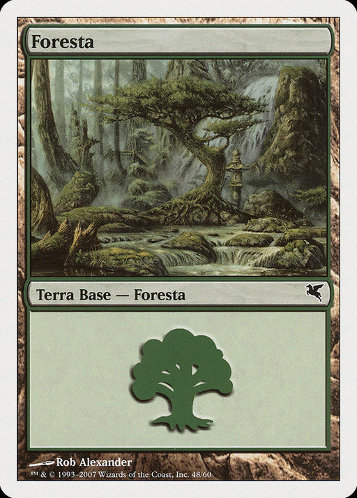 Foresta - Forest