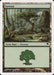 Foresta - Forest