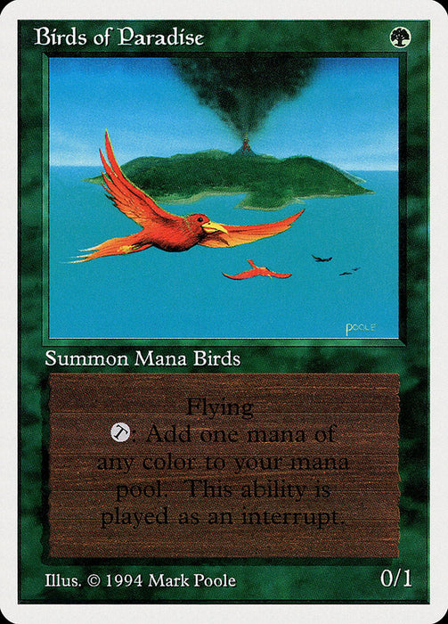 Birds of Paradise