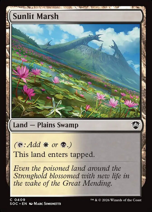 Sunlit Marsh