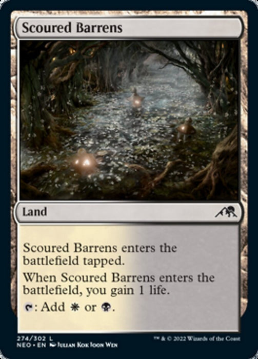 Scoured Barrens  (Foil)