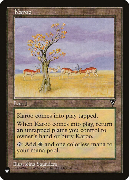 Karoo - Retro Frame
