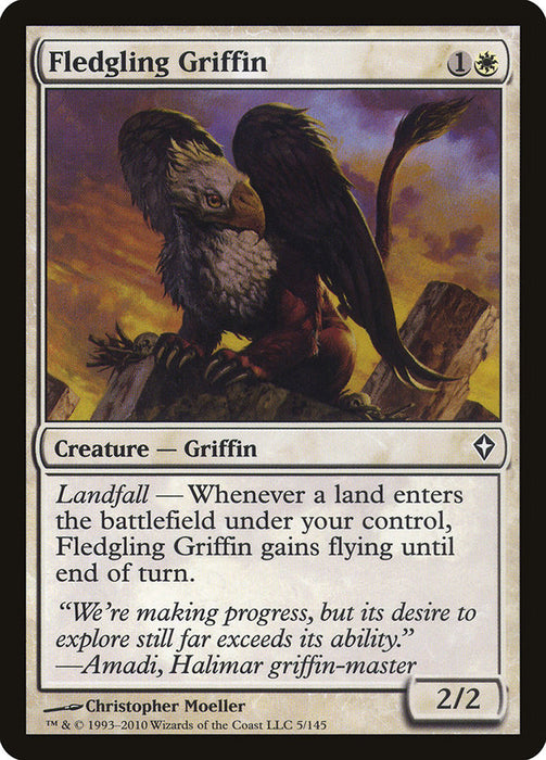 Fledgling Griffin  (Foil)