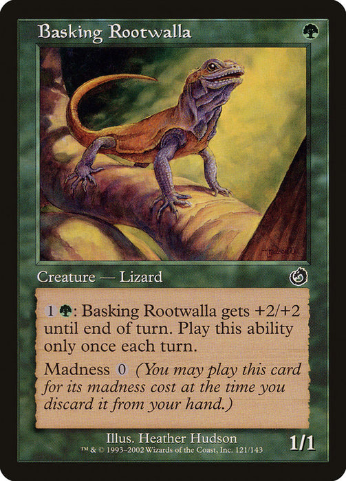 Basking Rootwalla  (Foil)