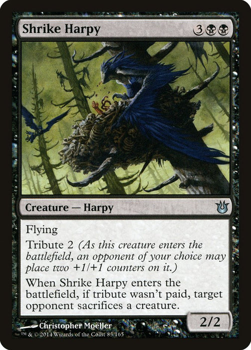 Shrike Harpy  (Foil)