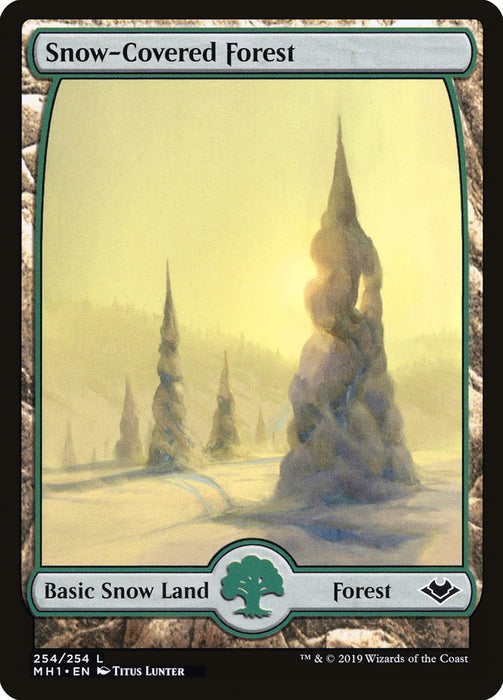 Snow-Covered Forest - Full Art  (Foil)