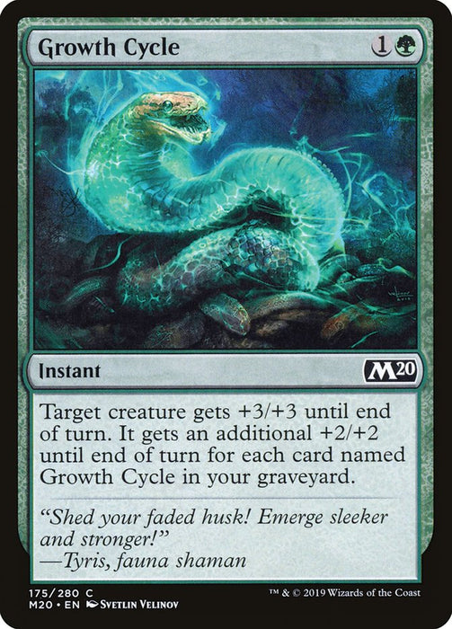 Growth Cycle  (Foil)