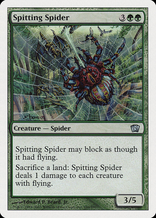 Spitting Spider