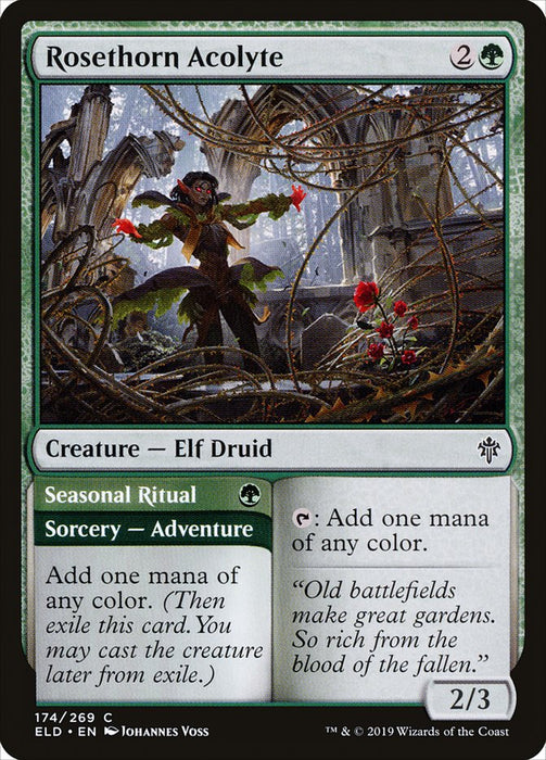 Rosethorn Acolyte // Seasonal Ritual  (Foil)