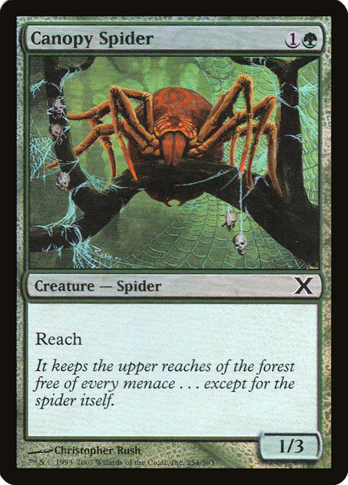 Canopy Spider  (Foil)