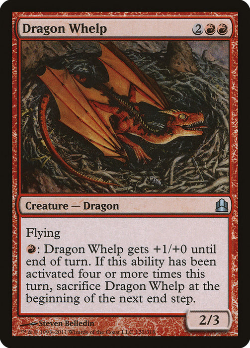 Dragon Whelp