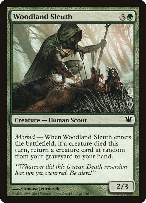 Woodland Sleuth  (Foil)