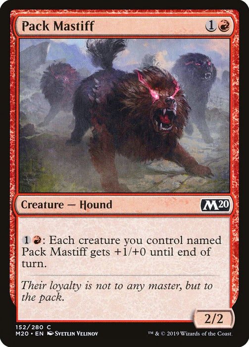 Pack Mastiff  (Foil)