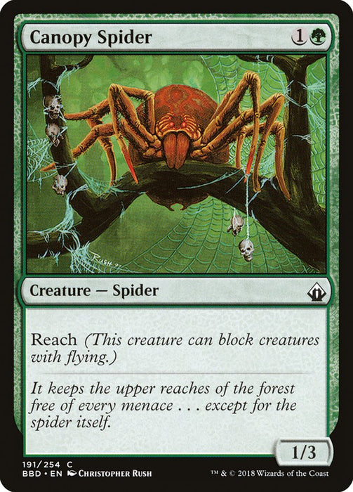 Canopy Spider  (Foil)
