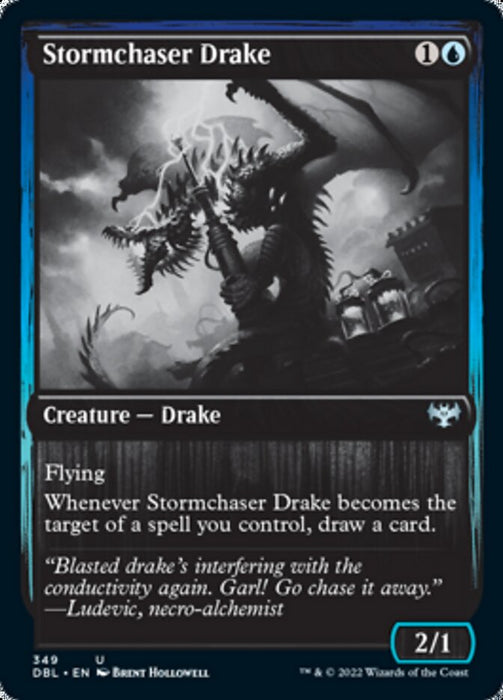 Stormchaser Drake  - Inverted