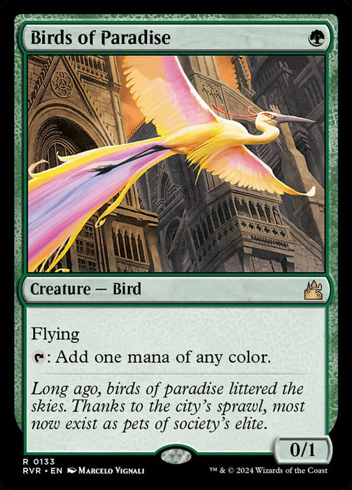 Birds of Paradise (Foil)