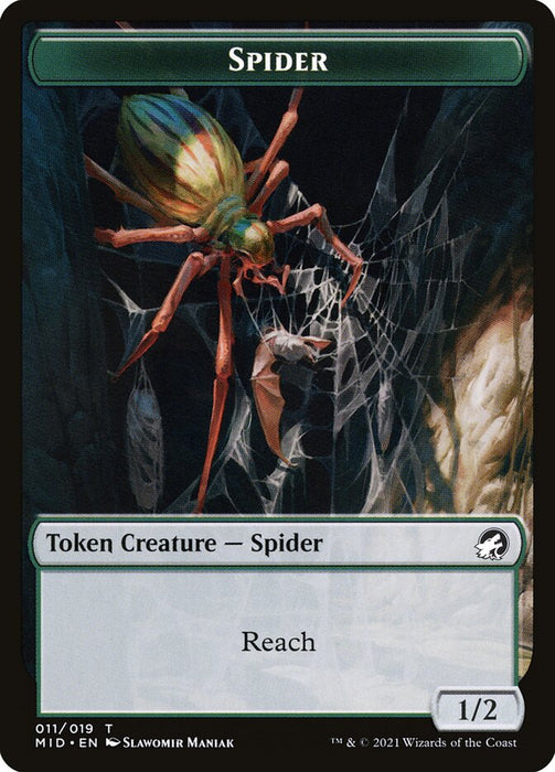 Spider - Borderless  (Foil)