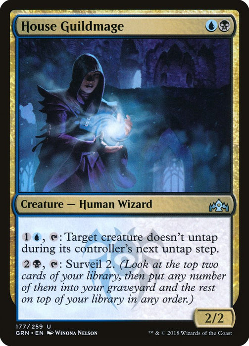 House Guildmage  (Foil)