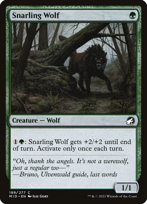 Snarling Wolf  (Foil)