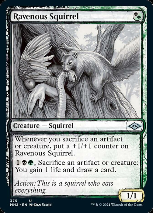 Ravenous Squirrel  - Showcase