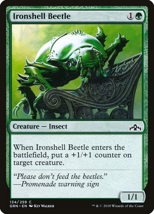 Ironshell Beetle  (Foil)