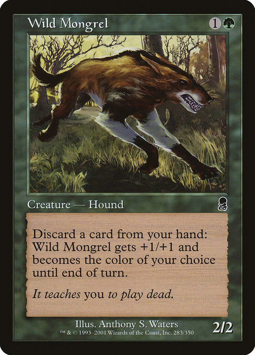 Wild Mongrel  (Foil)